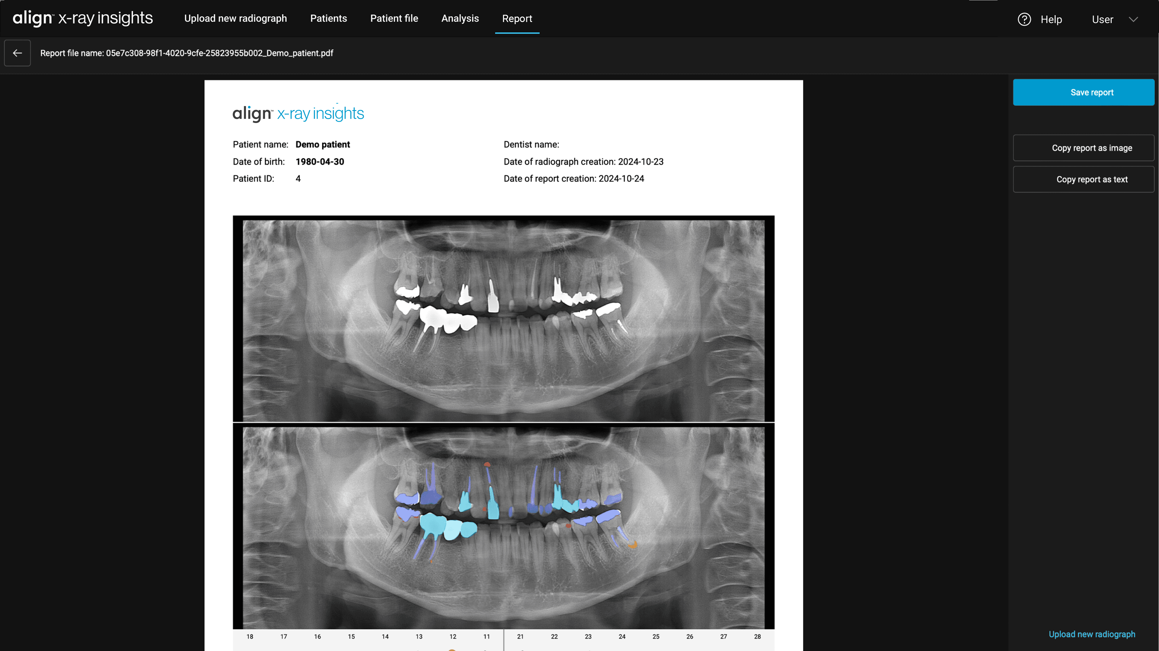 Confirm findings and generate a detailed report.